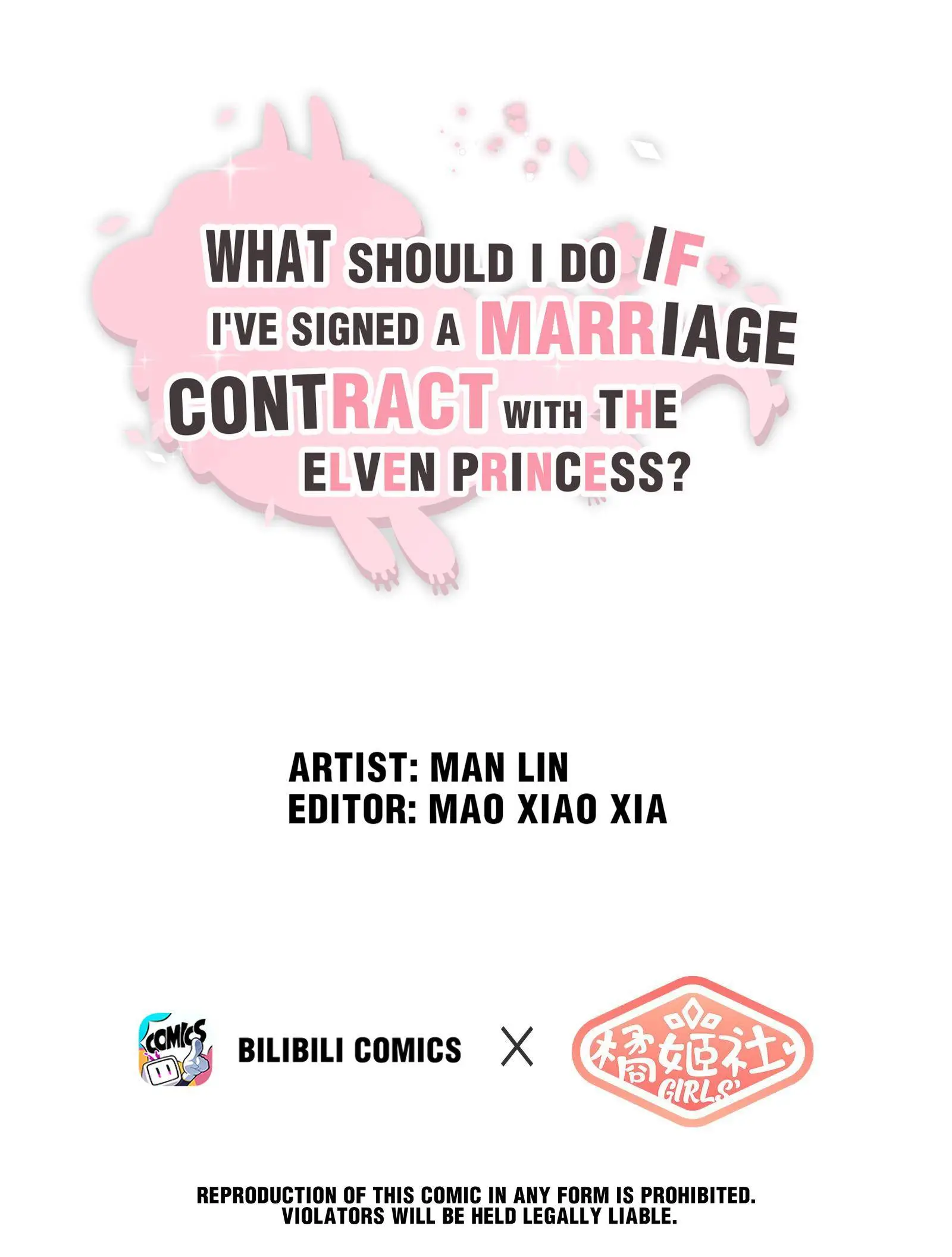 What Do I Do If I Signed A Marriage Contract With The Elf Princess? Chapter 12 #1