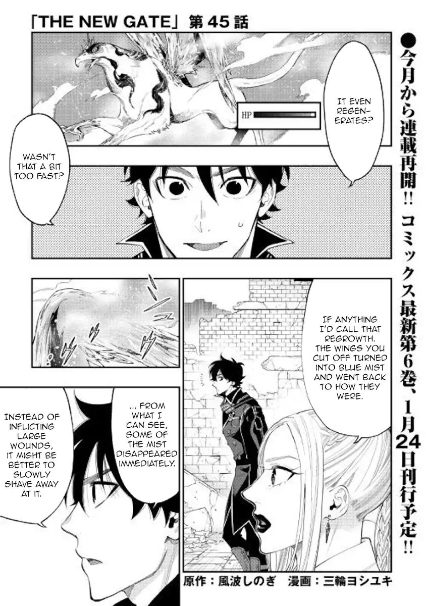 The New Gate Chapter 45 #1