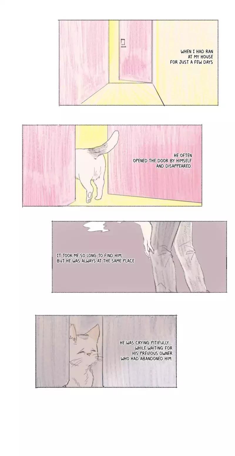 Catboy Catday Chapter 33 #19