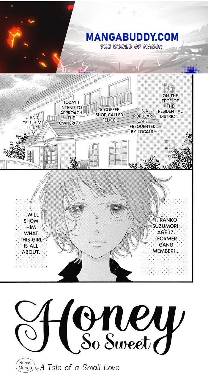 Honey (Meguro Amu) Chapter 20.5 #1