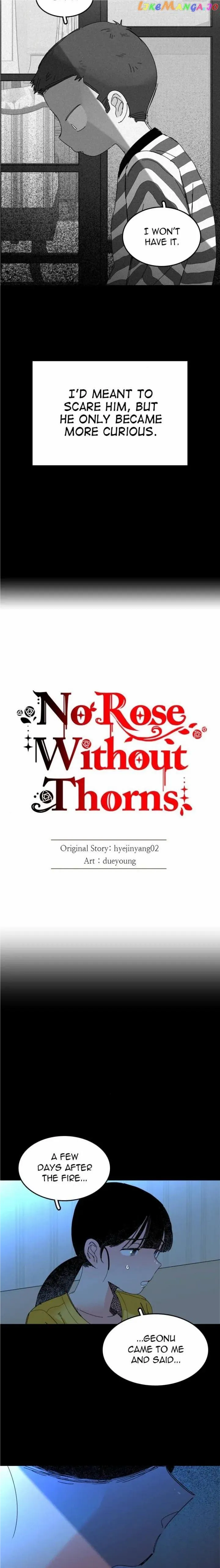 No Rose Without Thorns Chapter 81 #7