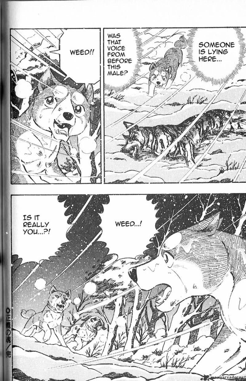 Ginga Densetsu Weed Chapter 77 #12