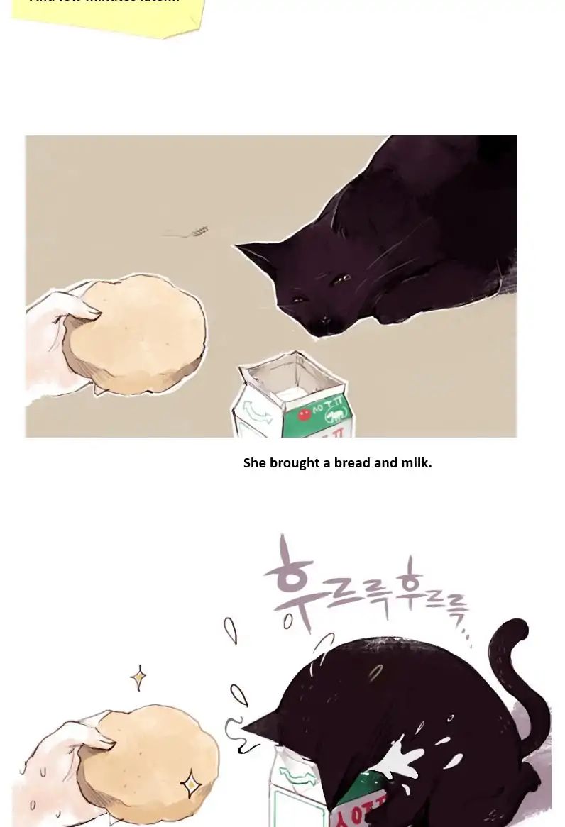 Cat Couple Chapter 1 #14