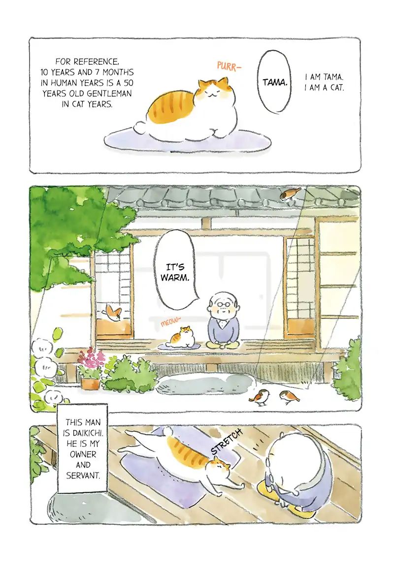 Cat And Grandpa Chapter 2 #4