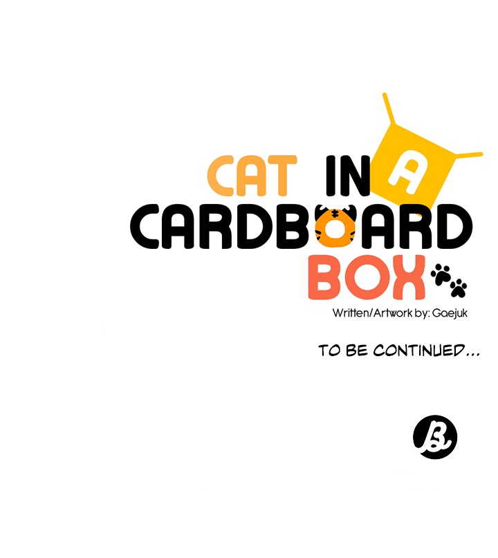 Cat In A Cardboard Box Chapter 27 #22