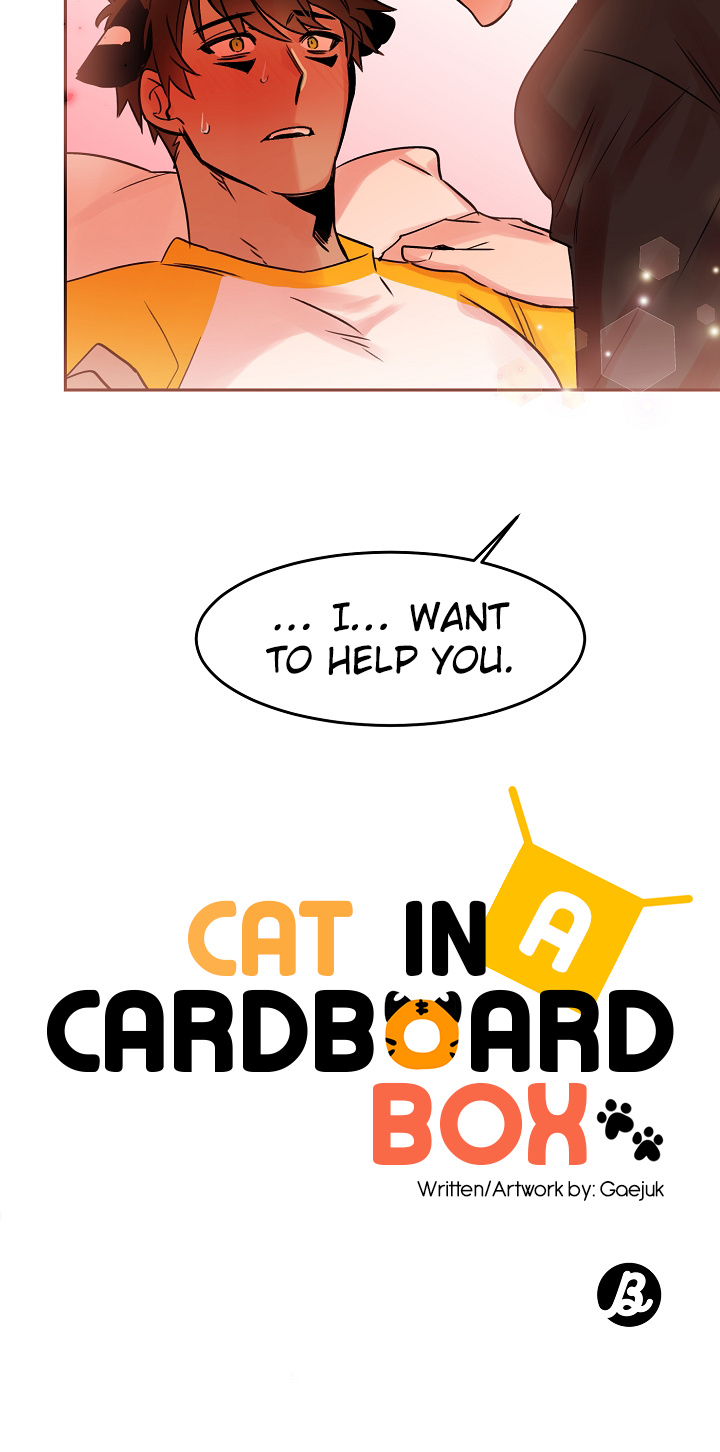 Cat In A Cardboard Box Chapter 19 #23