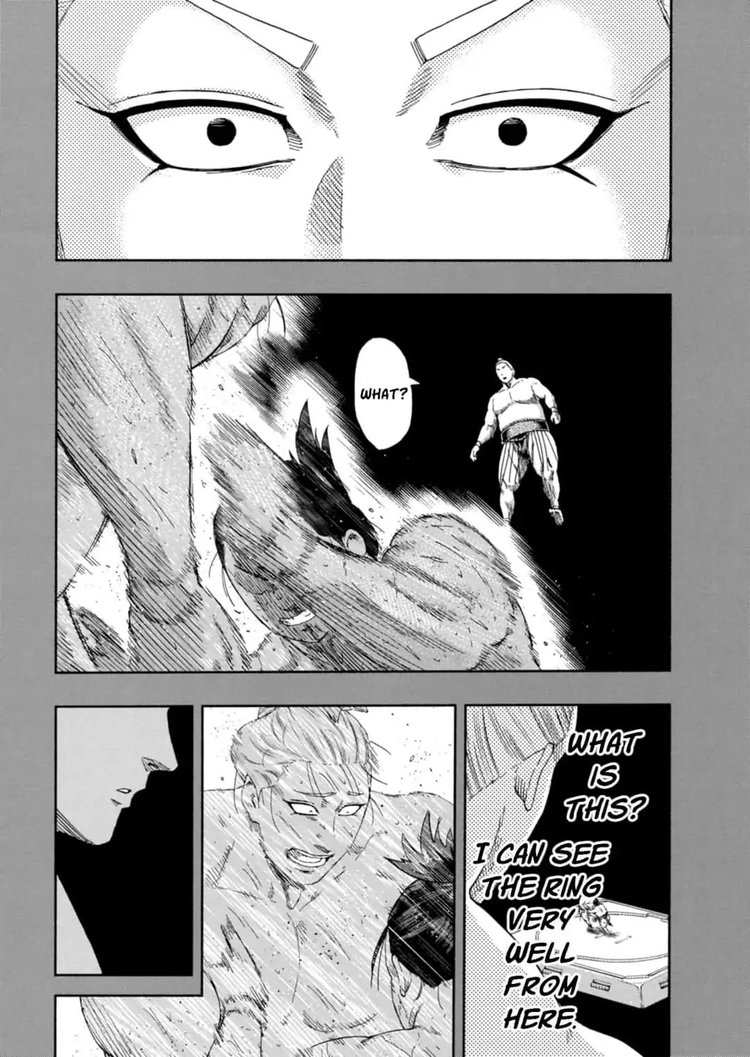 Hinomaru Zumou Chapter 234 #16