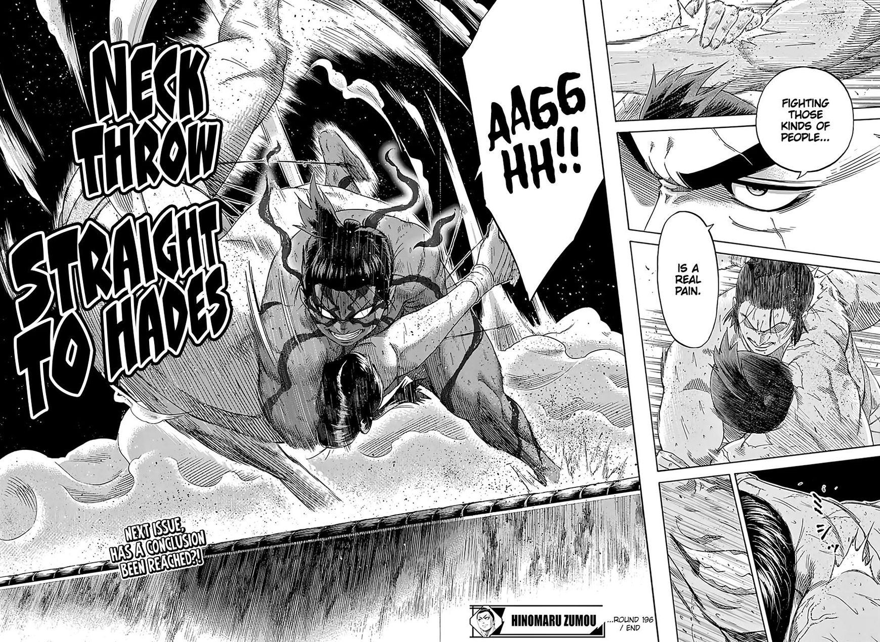 Hinomaru Zumou Chapter 196 #13