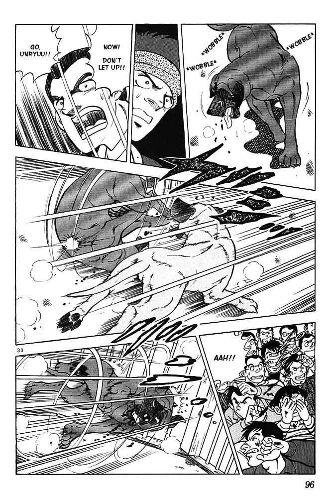 Byakuren No Fangu Chapter 13 #29