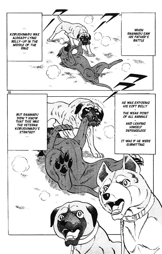 Byakuren No Fangu Chapter 13 #35
