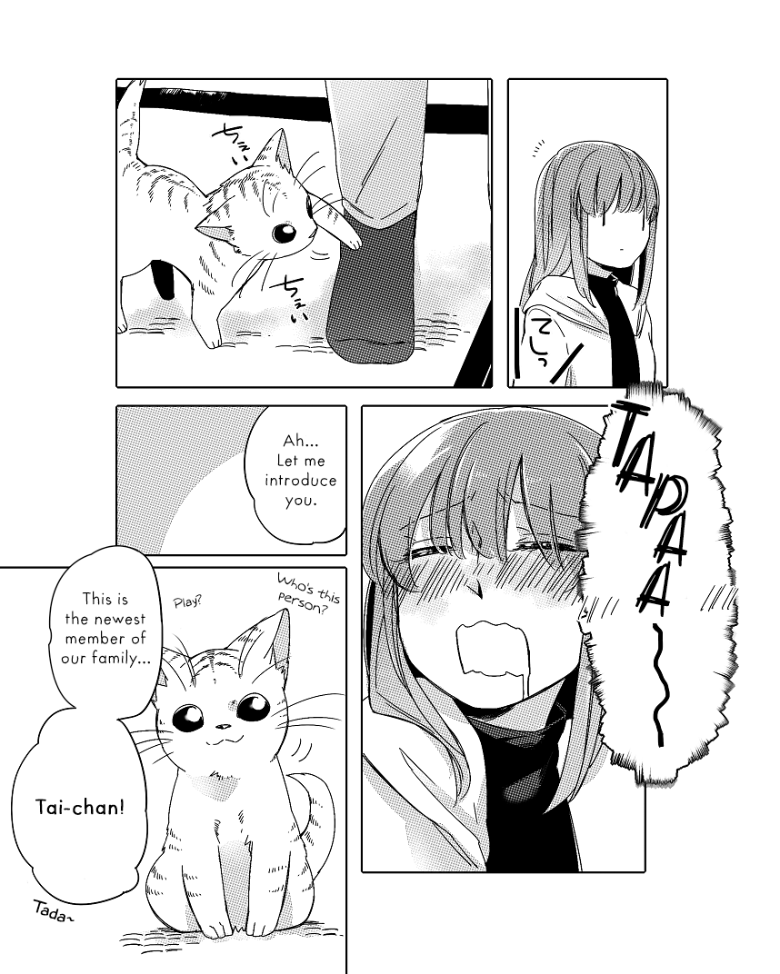 Nora-San The Tsungire Cat Chapter 2.2 #14