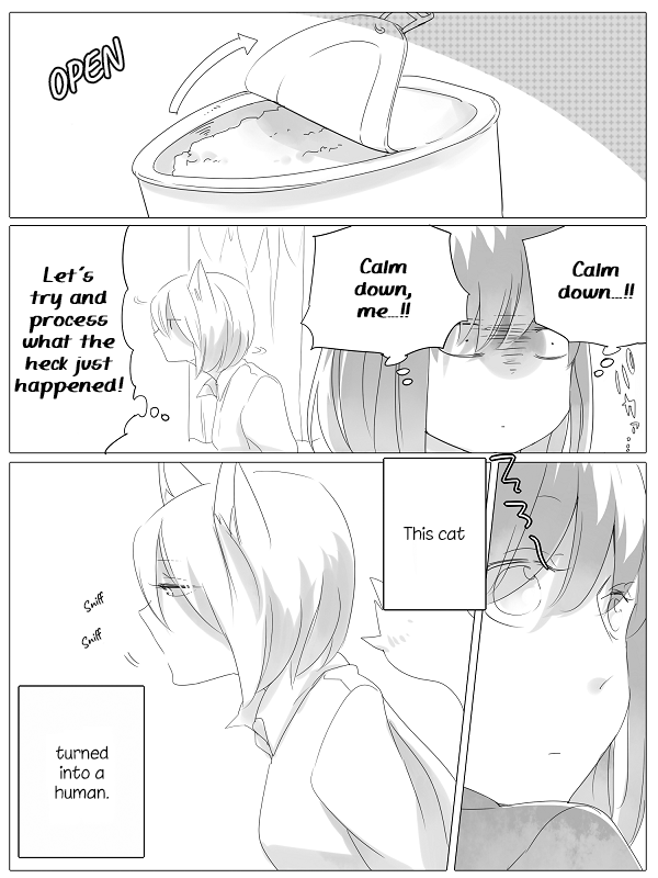 Nora-San The Tsungire Cat Chapter 1 #6