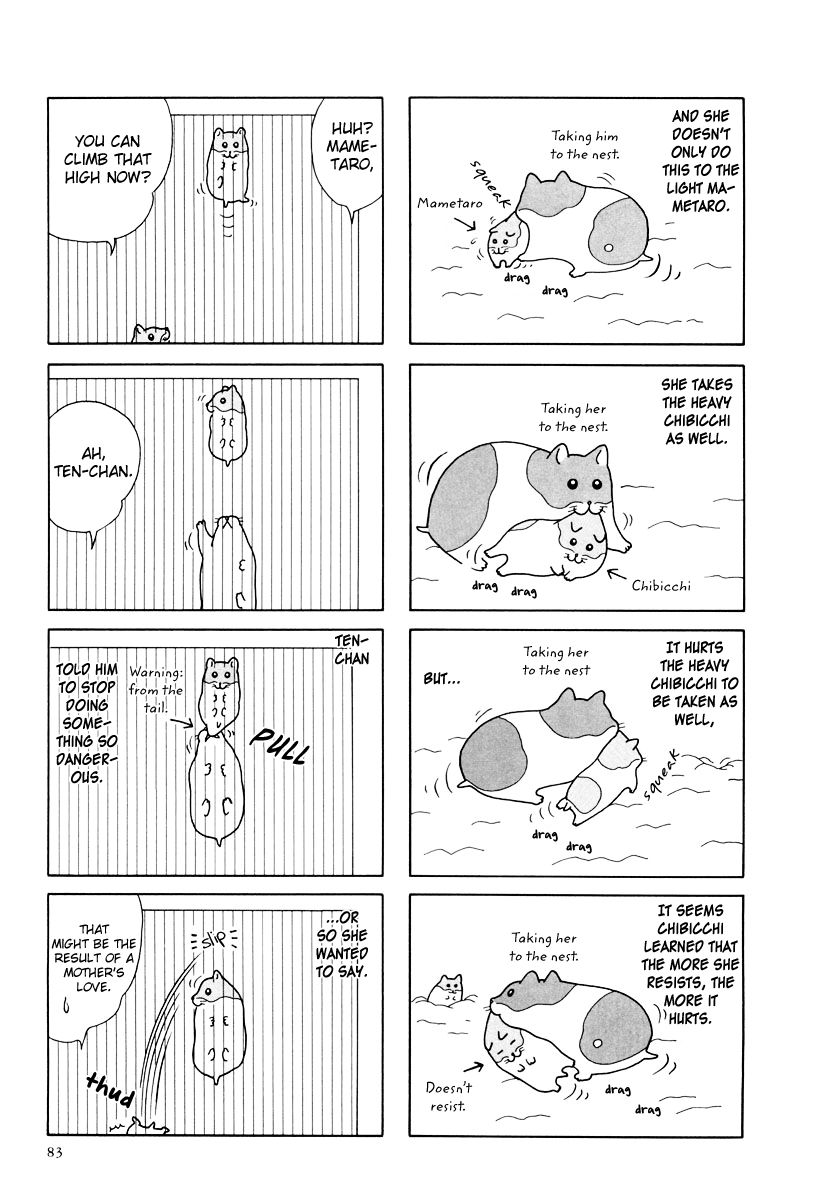 Hamster No Kenkyuu Report Chapter 27 #7