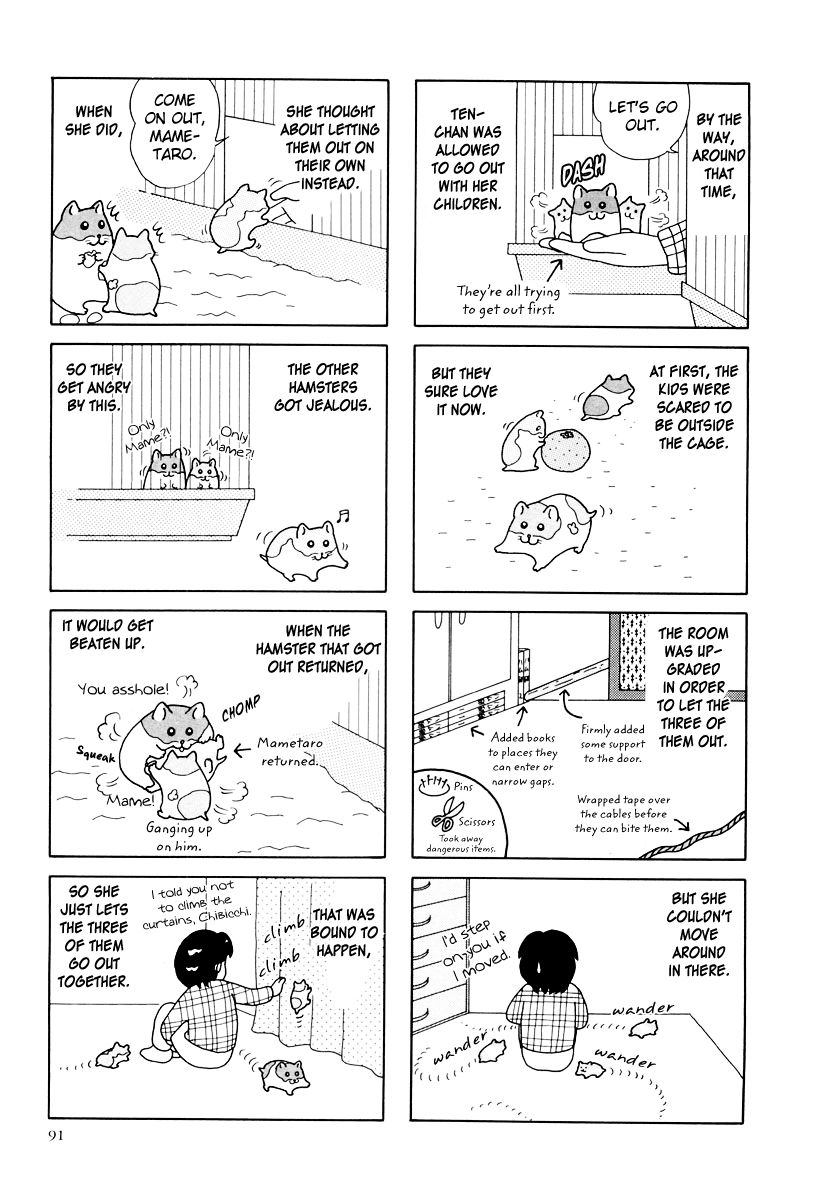 Hamster No Kenkyuu Report Chapter 27 #12