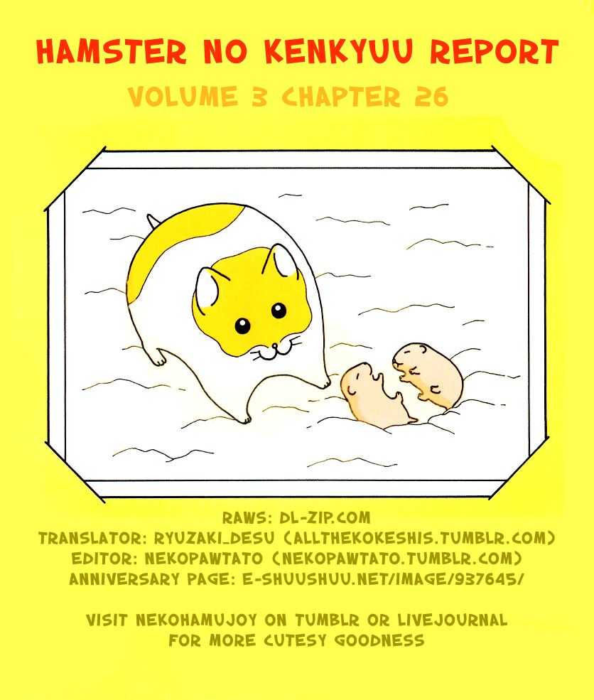 Hamster No Kenkyuu Report Chapter 26 #18