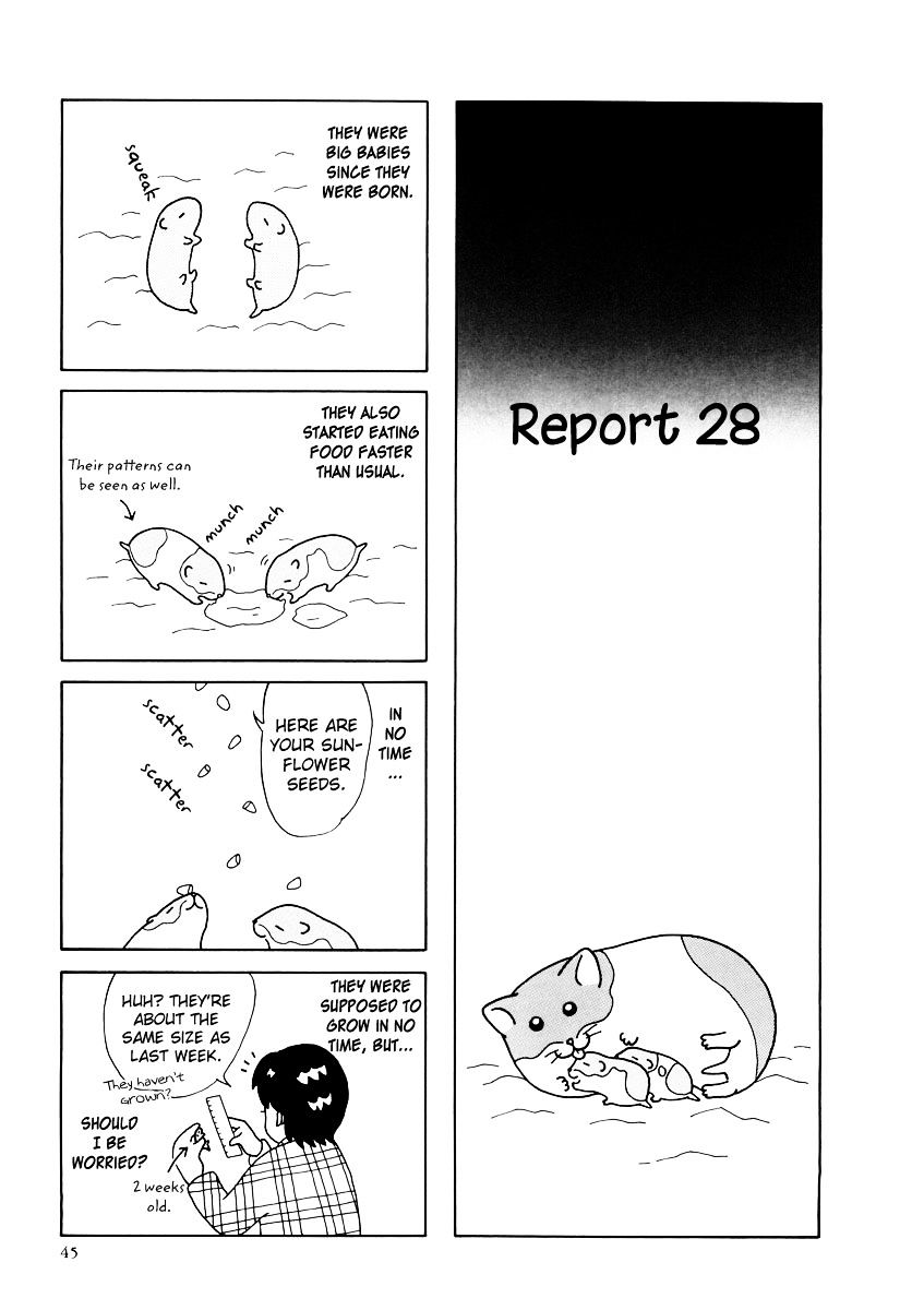 Hamster No Kenkyuu Report Chapter 25 #1