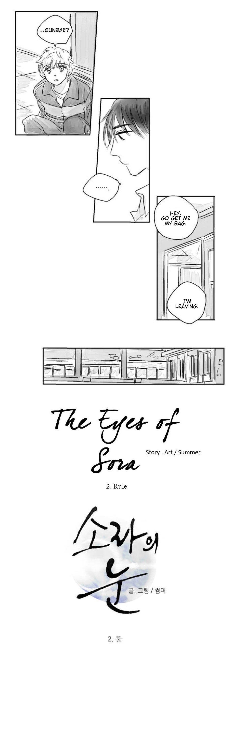 The Eyes Of Sora Chapter 2 #4