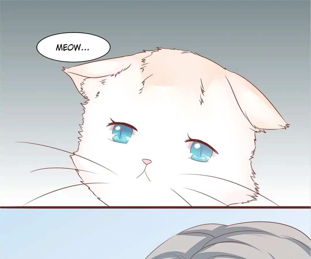 Guide To Raising Kitty Boyfriend Chapter 52 #52