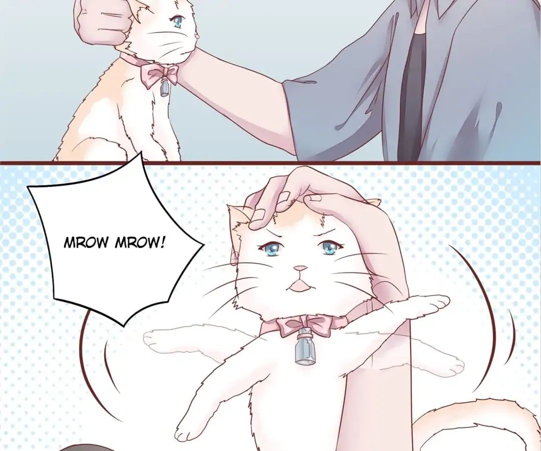 Guide To Raising Kitty Boyfriend Chapter 50 #45