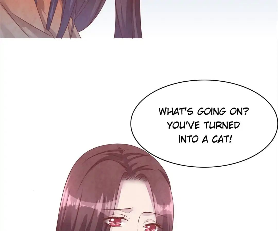 Guide To Raising Kitty Boyfriend Chapter 48 #7