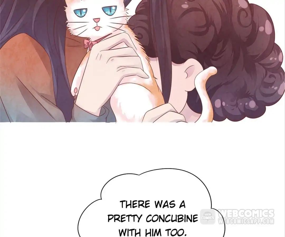 Guide To Raising Kitty Boyfriend Chapter 48 #18