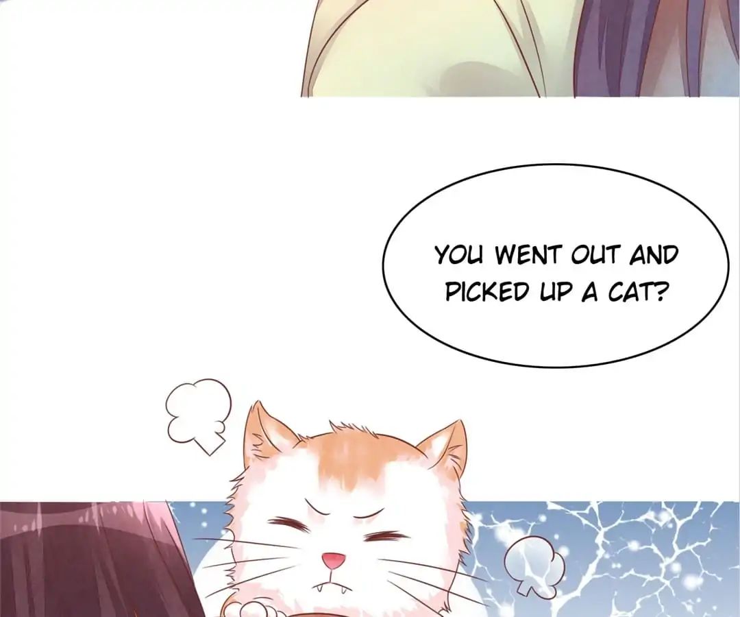 Guide To Raising Kitty Boyfriend Chapter 48 #20