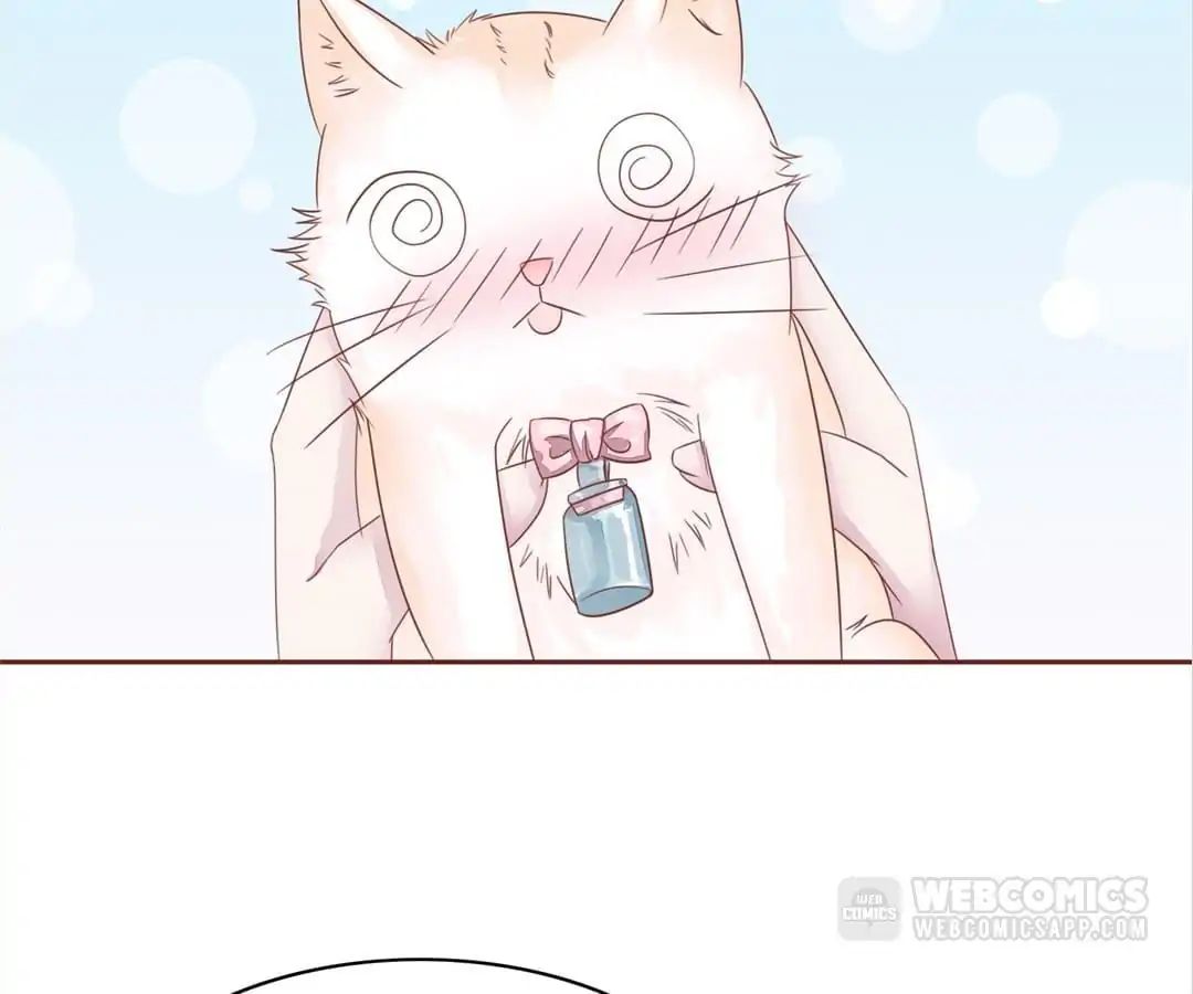 Guide To Raising Kitty Boyfriend Chapter 48 #38