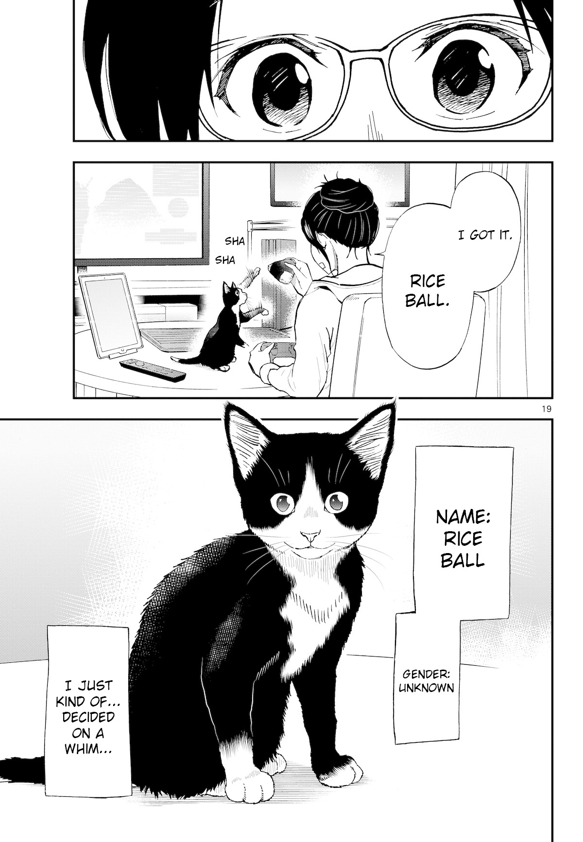 A Gamer Living With A Cat Chapter 3 #19