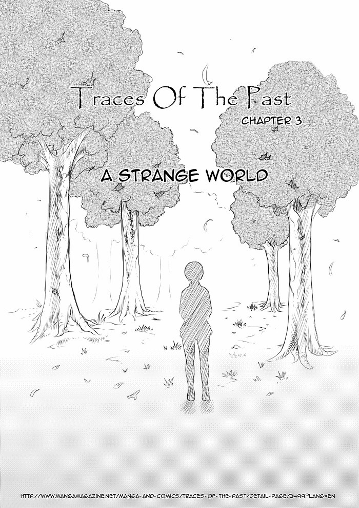 Traces Of The Past Chapter 3.2 #1