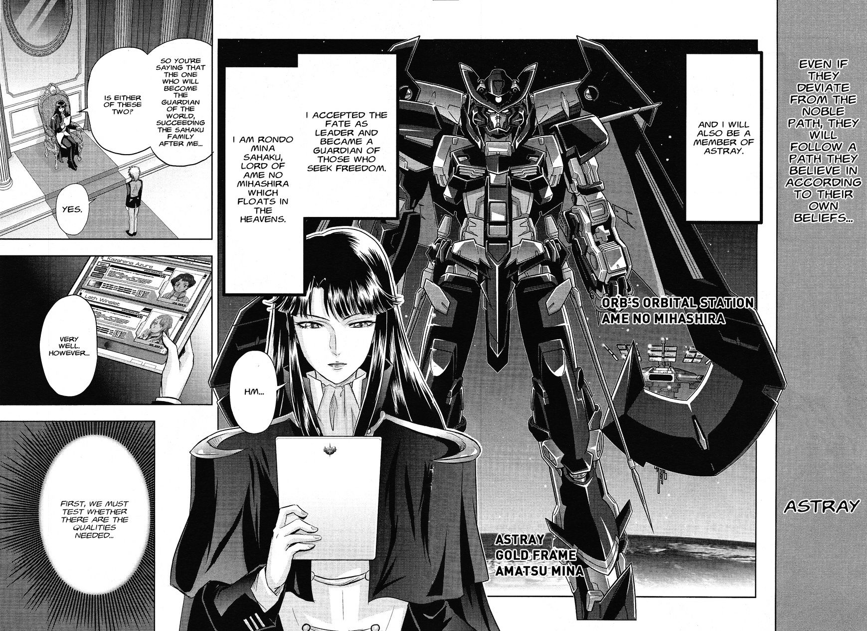 Gundam Seed Astray - Tenkuu No Seijo Chapter 0 #8