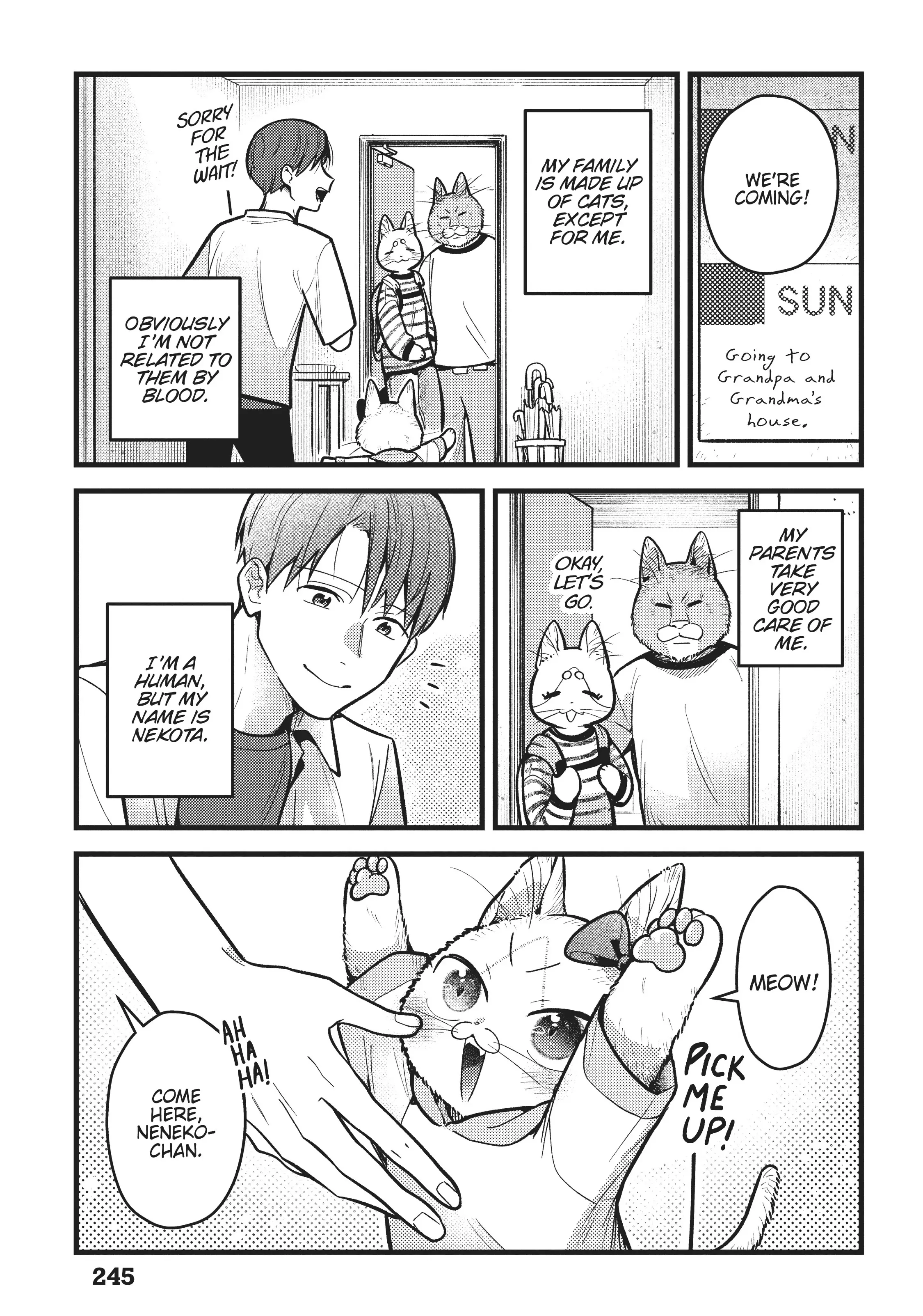 Imouto Wa Neko Chapter 33 #42