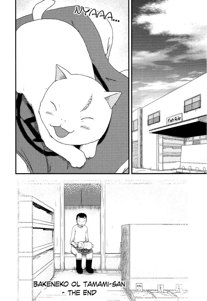 Bakeneko Ol Tamami-San - Omoi Tsuzukete Nanadaime Chapter 14 #14