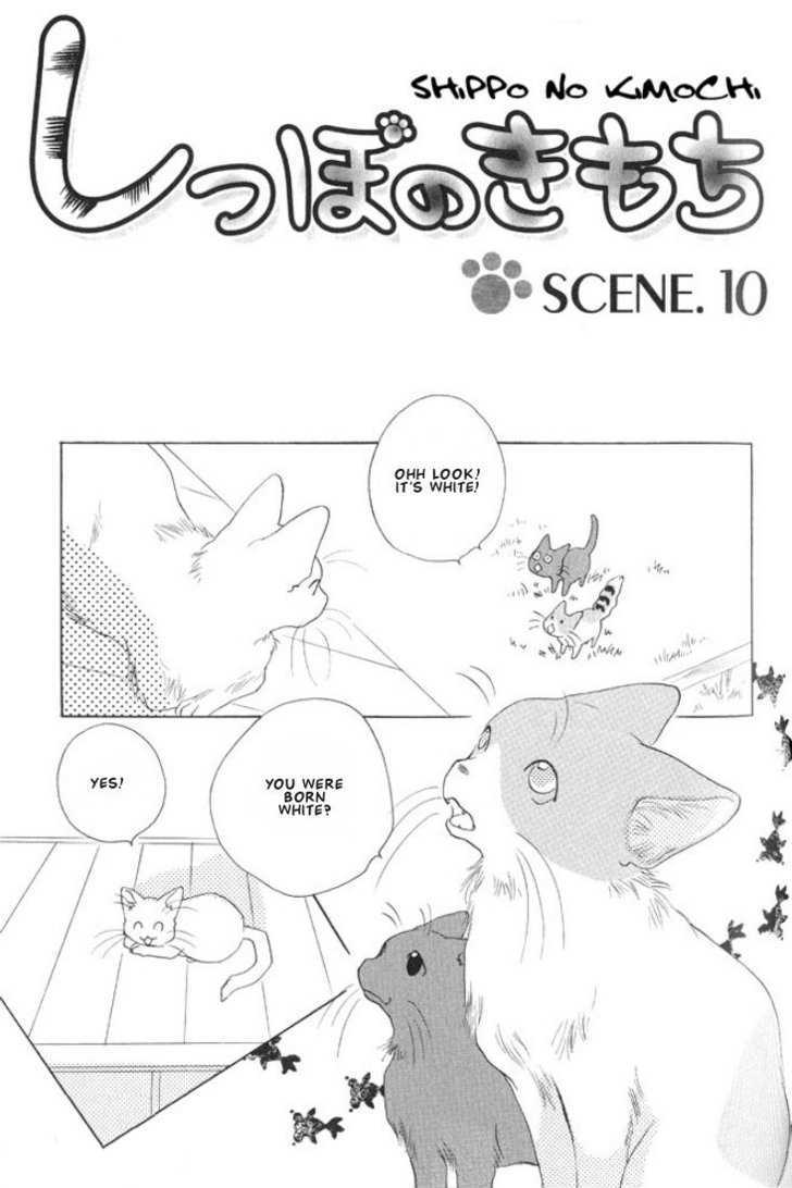 Shippo No Kimochi Chapter 10 #1