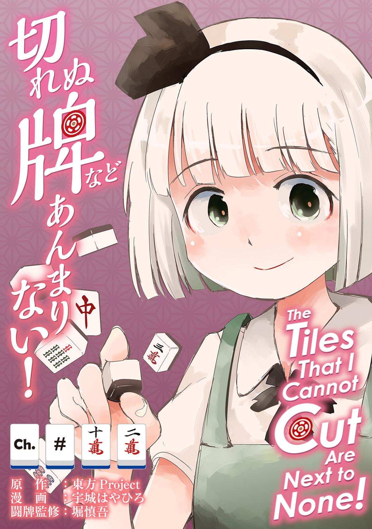 Touhou ~ The Tiles That I Cannot Cut Are Next To None! (Doujinshi) Chapter 12 #1