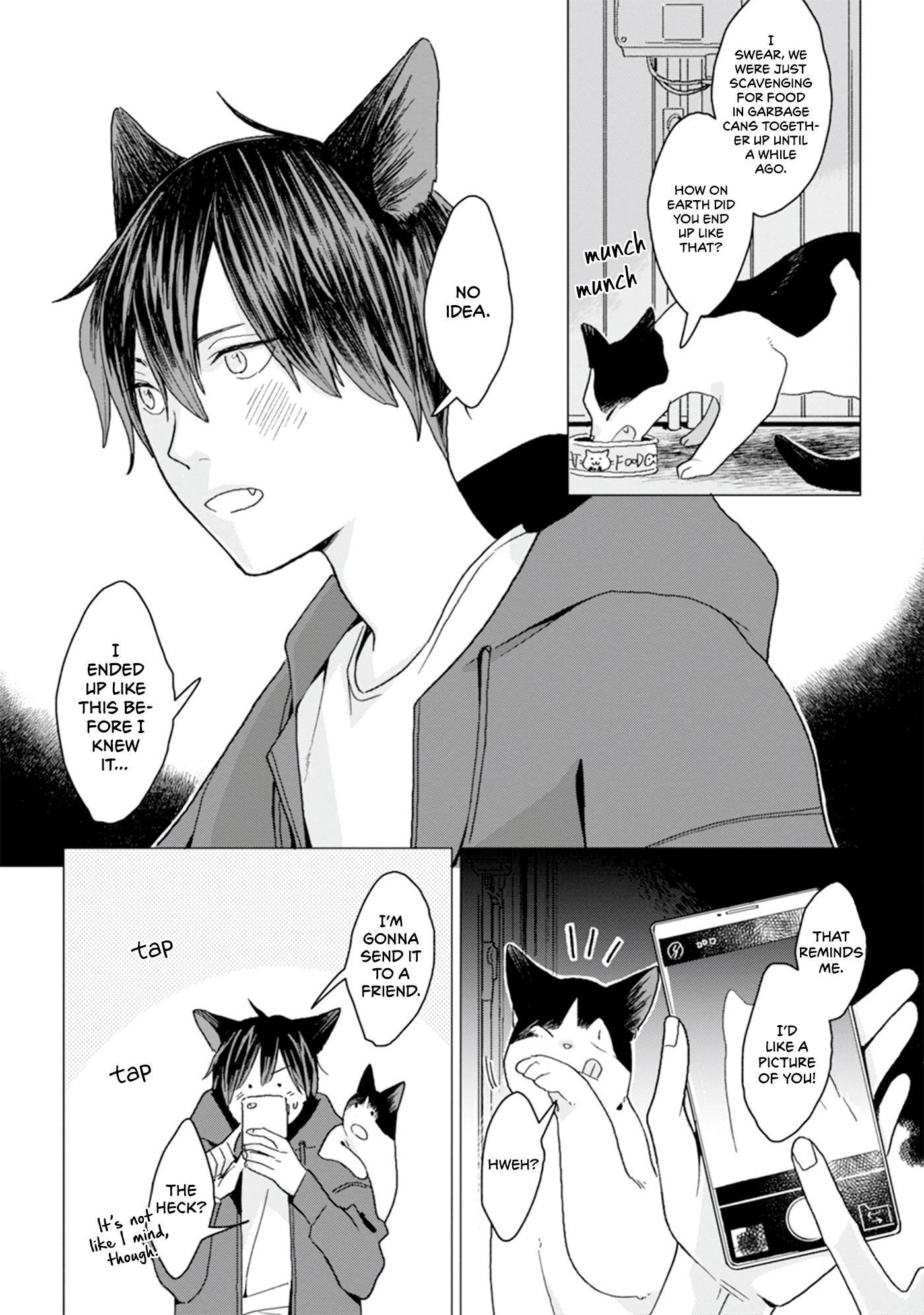 Koisuru Neko Wa Naderaretai Chapter 1 #12