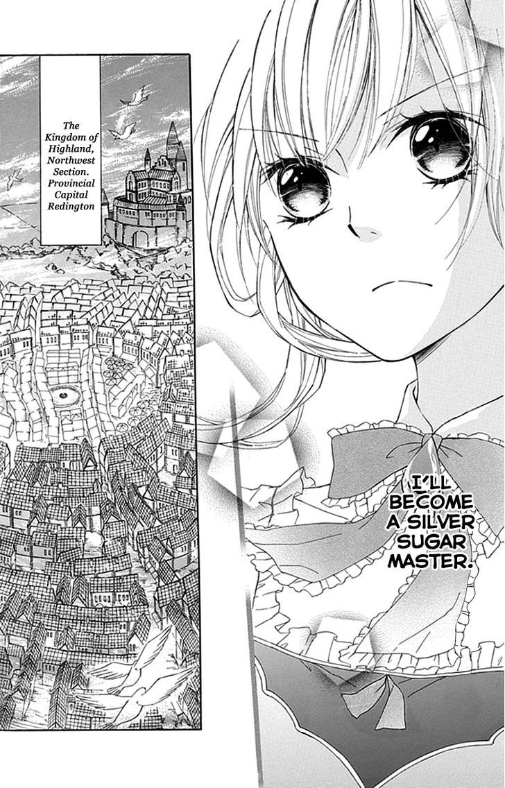 Ginzatoushi To Kuro No Yousei - Sugar Apple Fairytale Chapter 1 #13