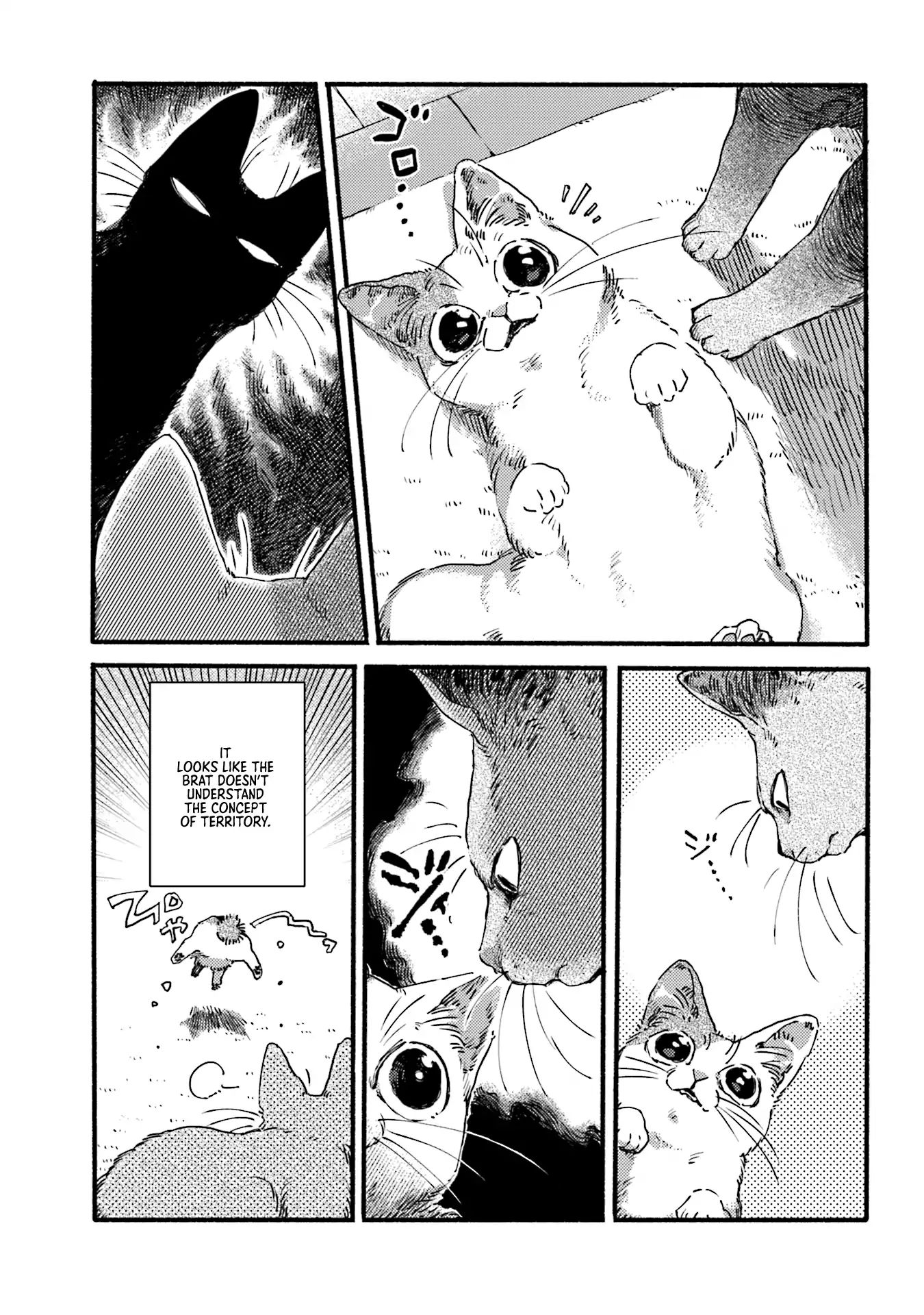 Nekodamari Chapter 3 #3