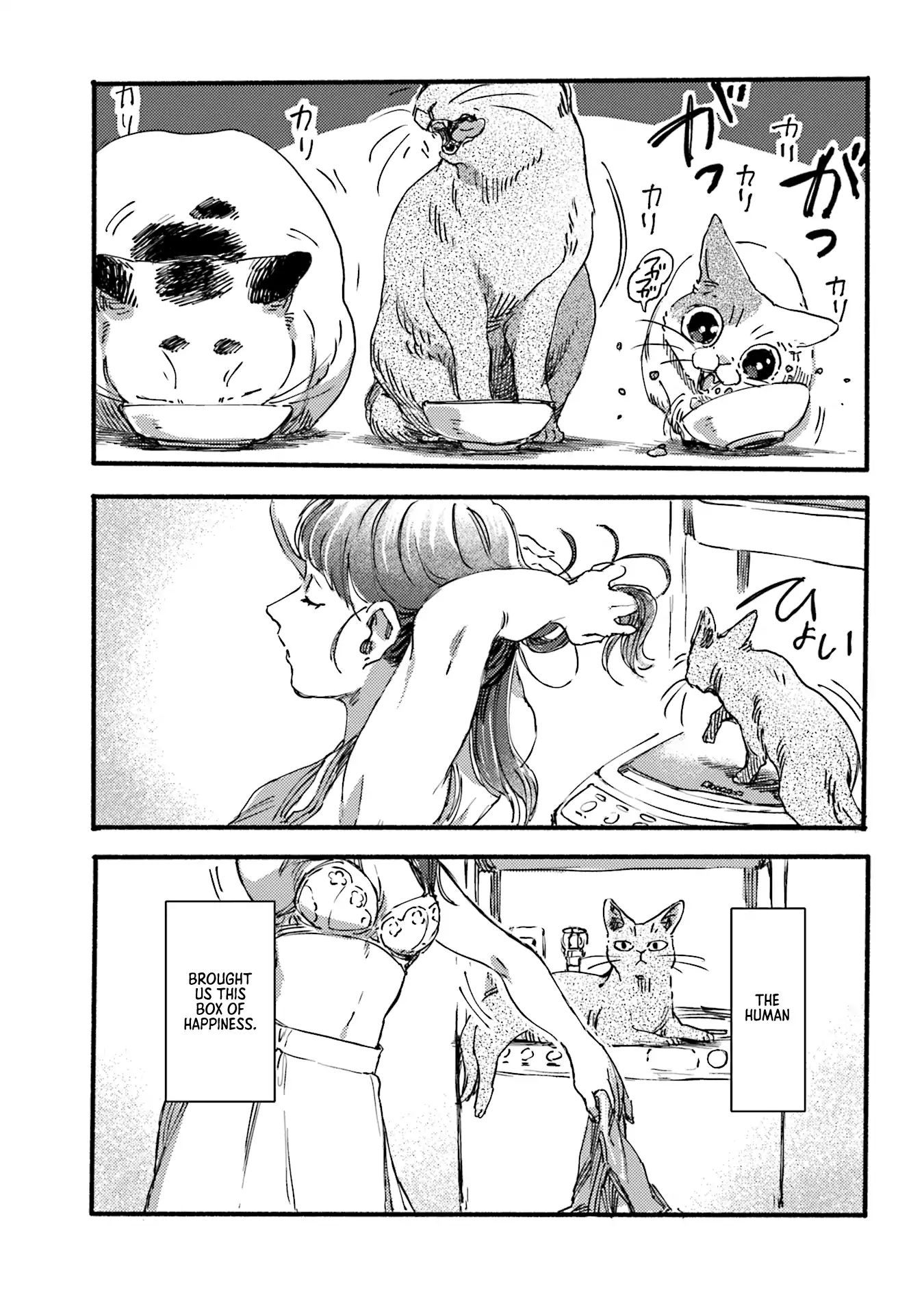 Nekodamari Chapter 2 #7