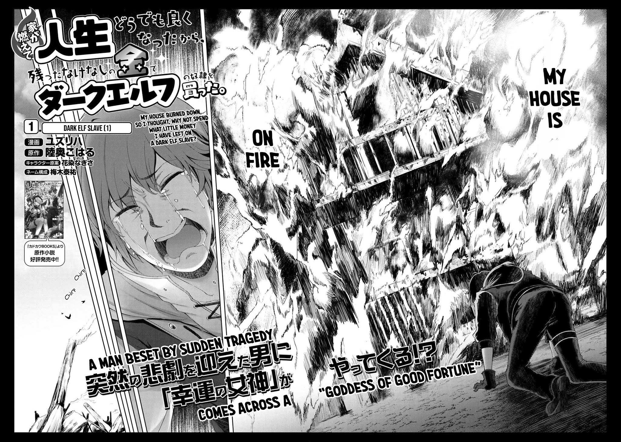 Ie Ga Moete Jinsei Dou Demo Yoku Natta Kara, Nokotta Nakenashi No Kin De Dark Elf No Dorei O Katta Chapter 1 #3