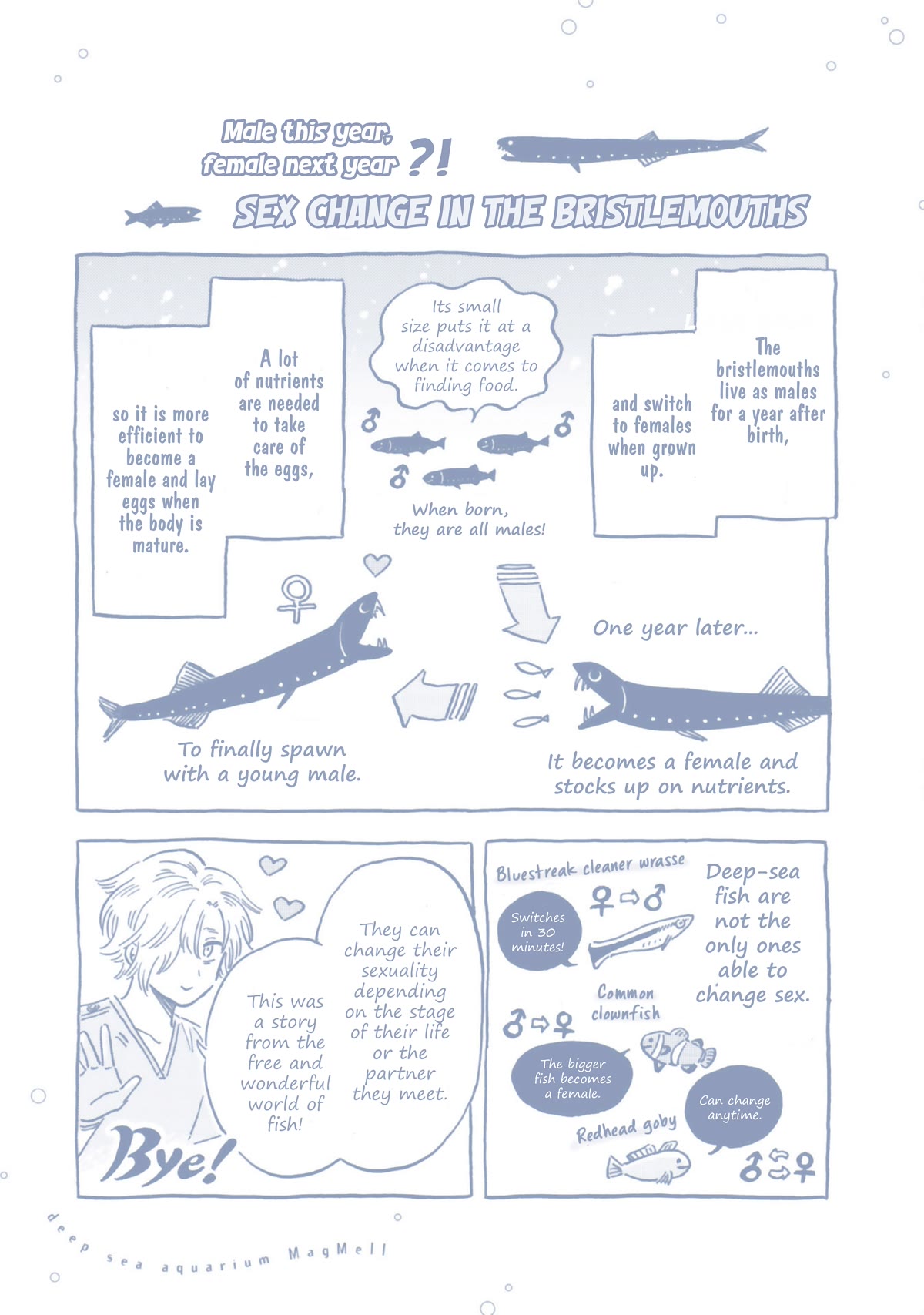 Deep Sea Aquarium Magmell Chapter 37.5 #2