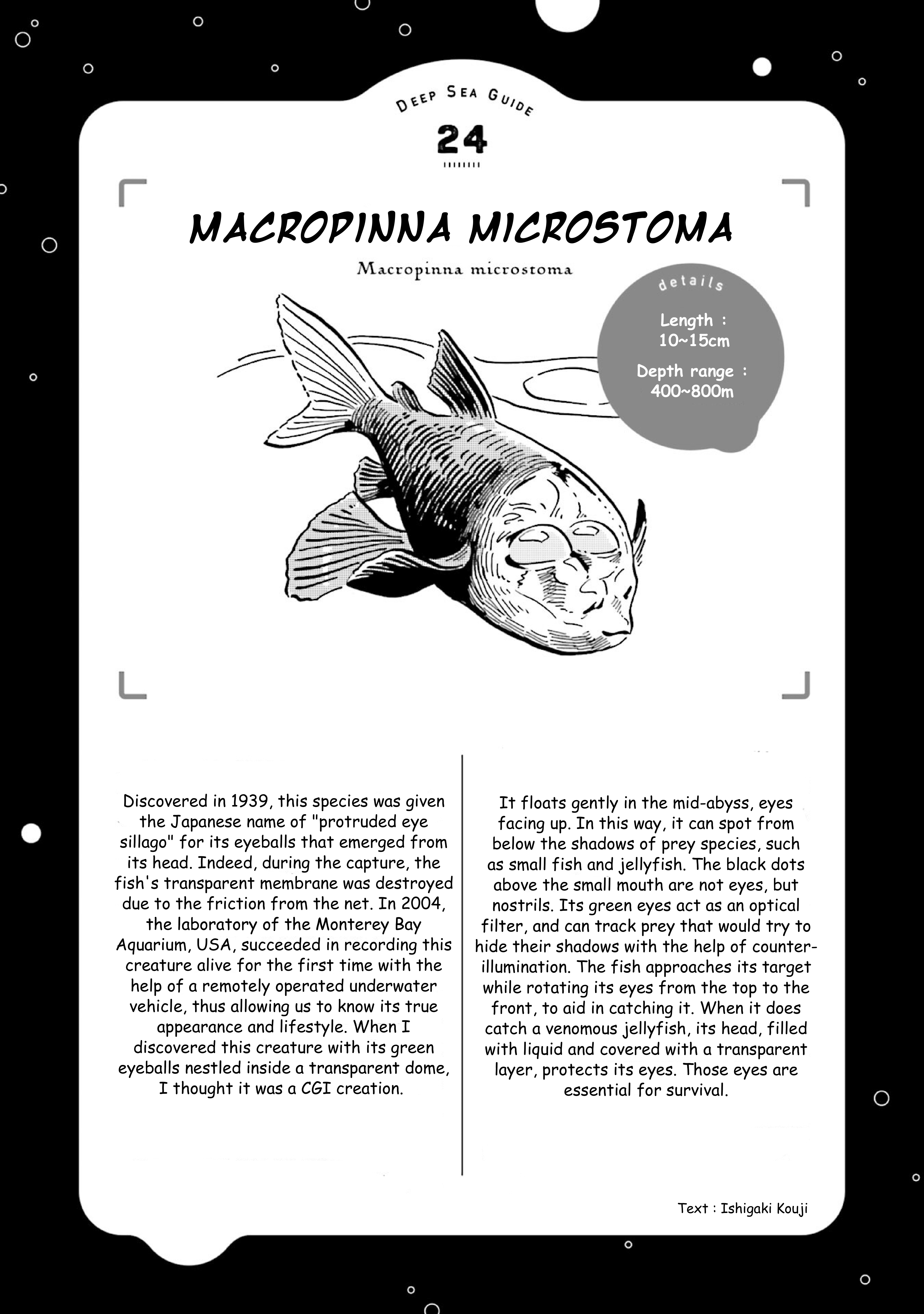 Deep Sea Aquarium Magmell Chapter 28 #37