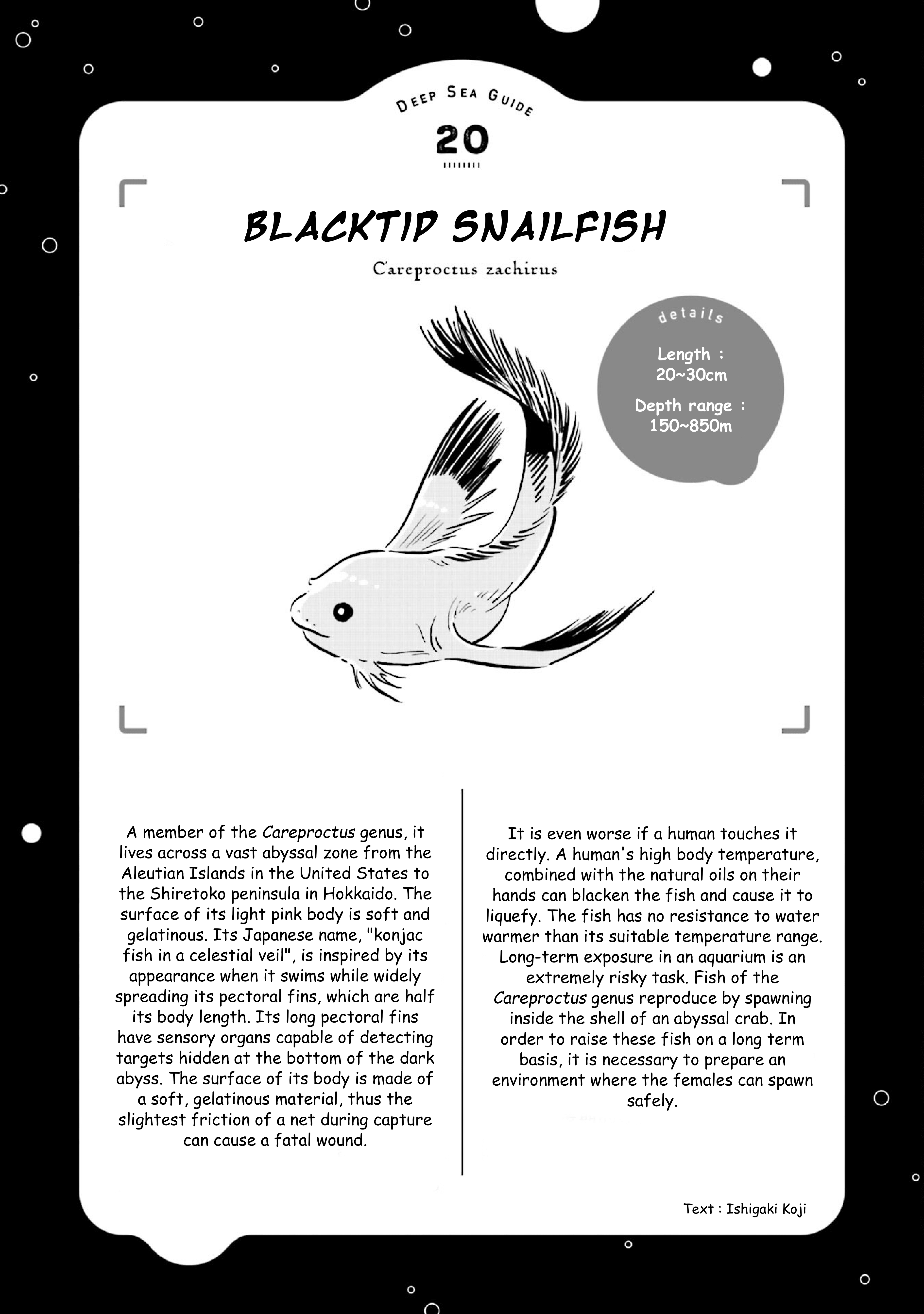 Deep Sea Aquarium Magmell Chapter 23 #35