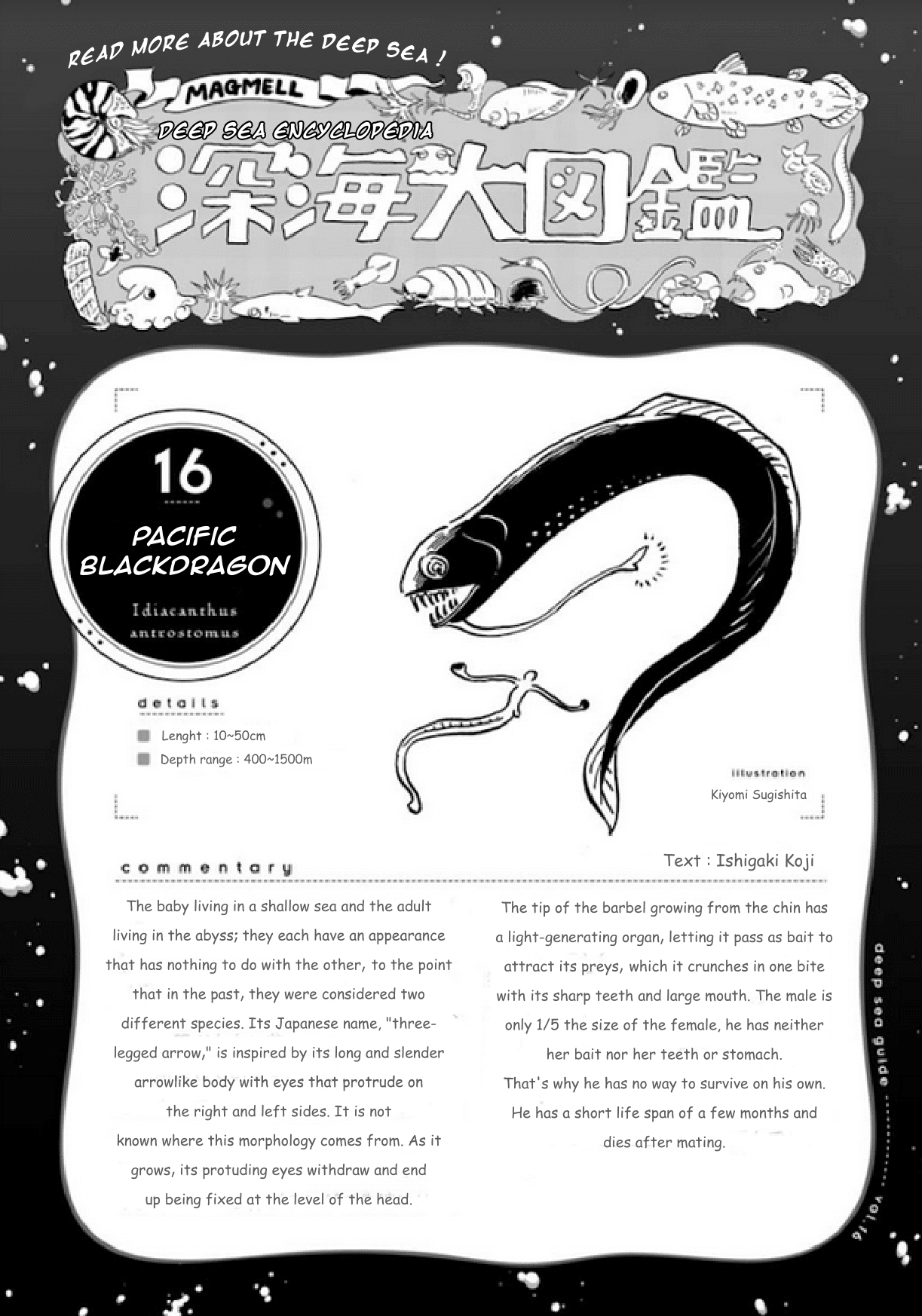 Deep Sea Aquarium Magmell Chapter 18 #14