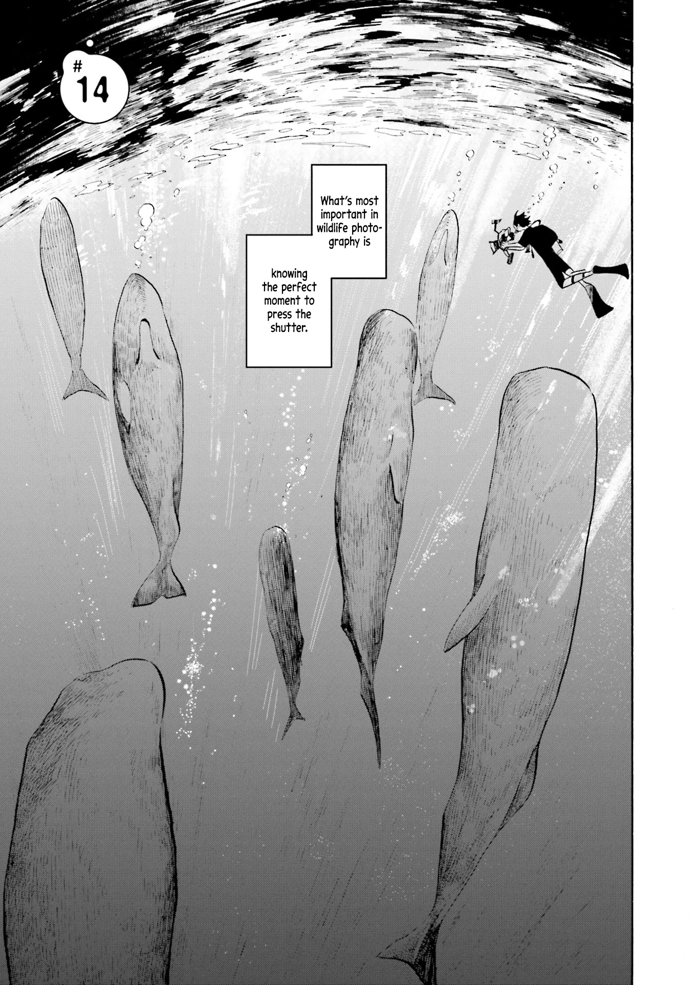 Deep Sea Aquarium Magmell Chapter 14 #1