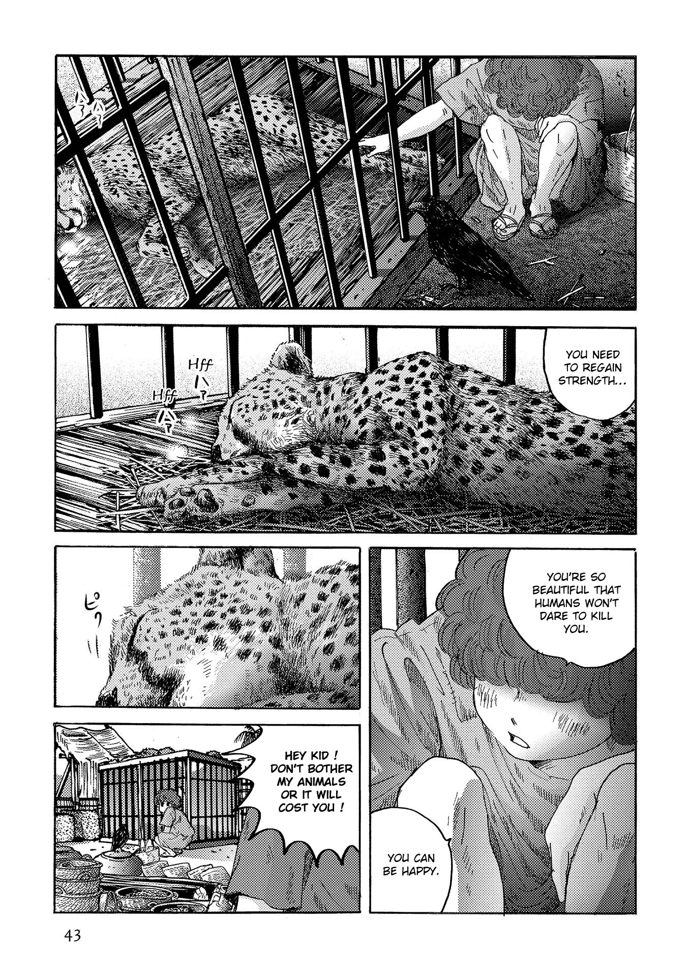 Plinivs Chapter 37 #15