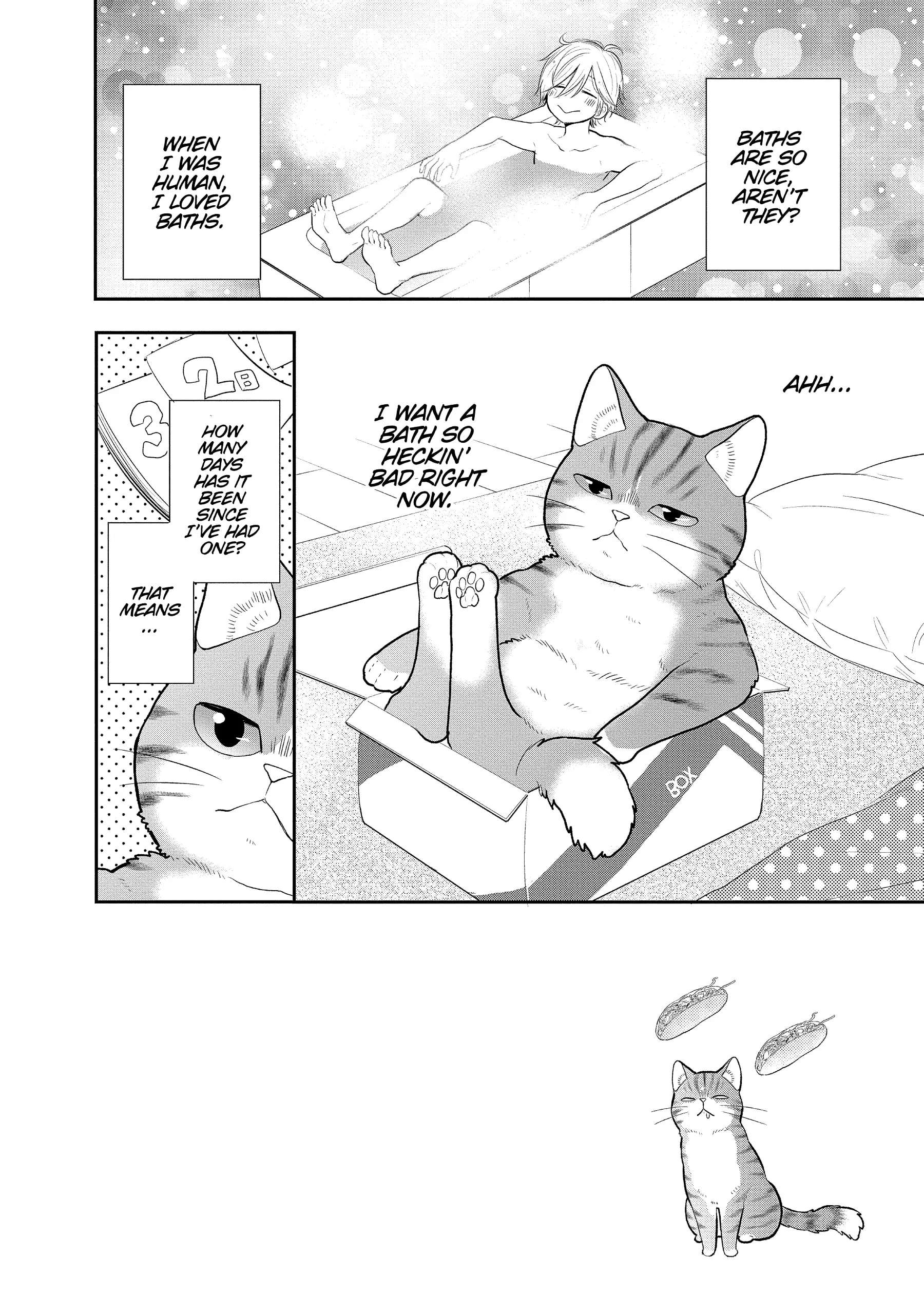 My New Life As A Cat Chapter 16 #3