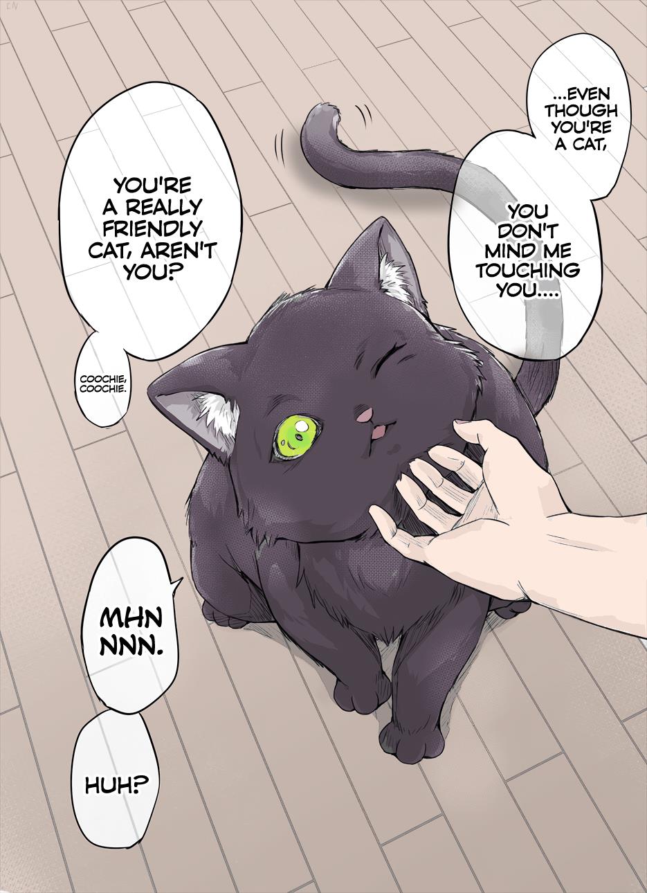 The Yandere Pet Cat Is Overly Domineering (Fan Colored) Chapter 2 #1