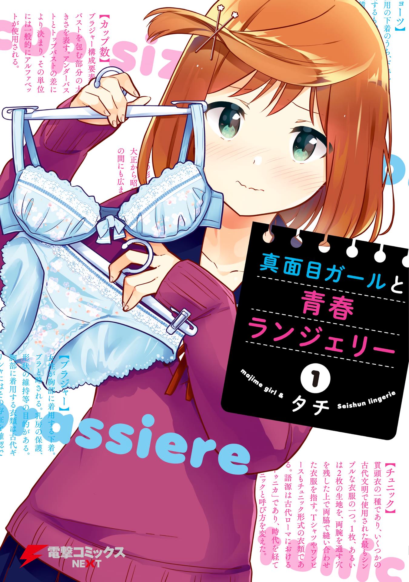 Majime Girl To Seishun Lingerie Chapter 1 #1