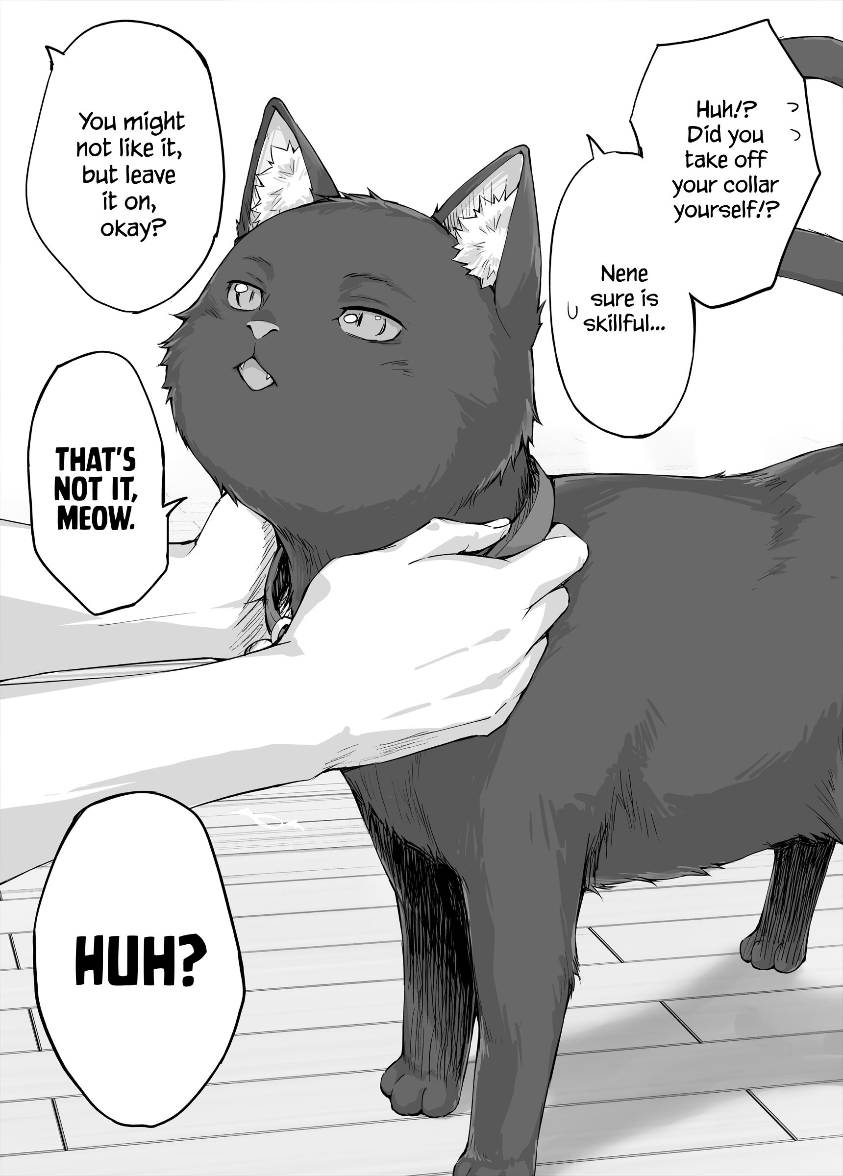 The Yandere Pet Cat Is Overly Domineering Chapter 12 #1