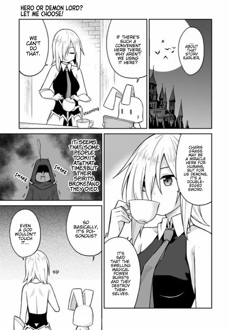 Hero Or Demon Lord? Let Me Choose! Chapter 9 #15